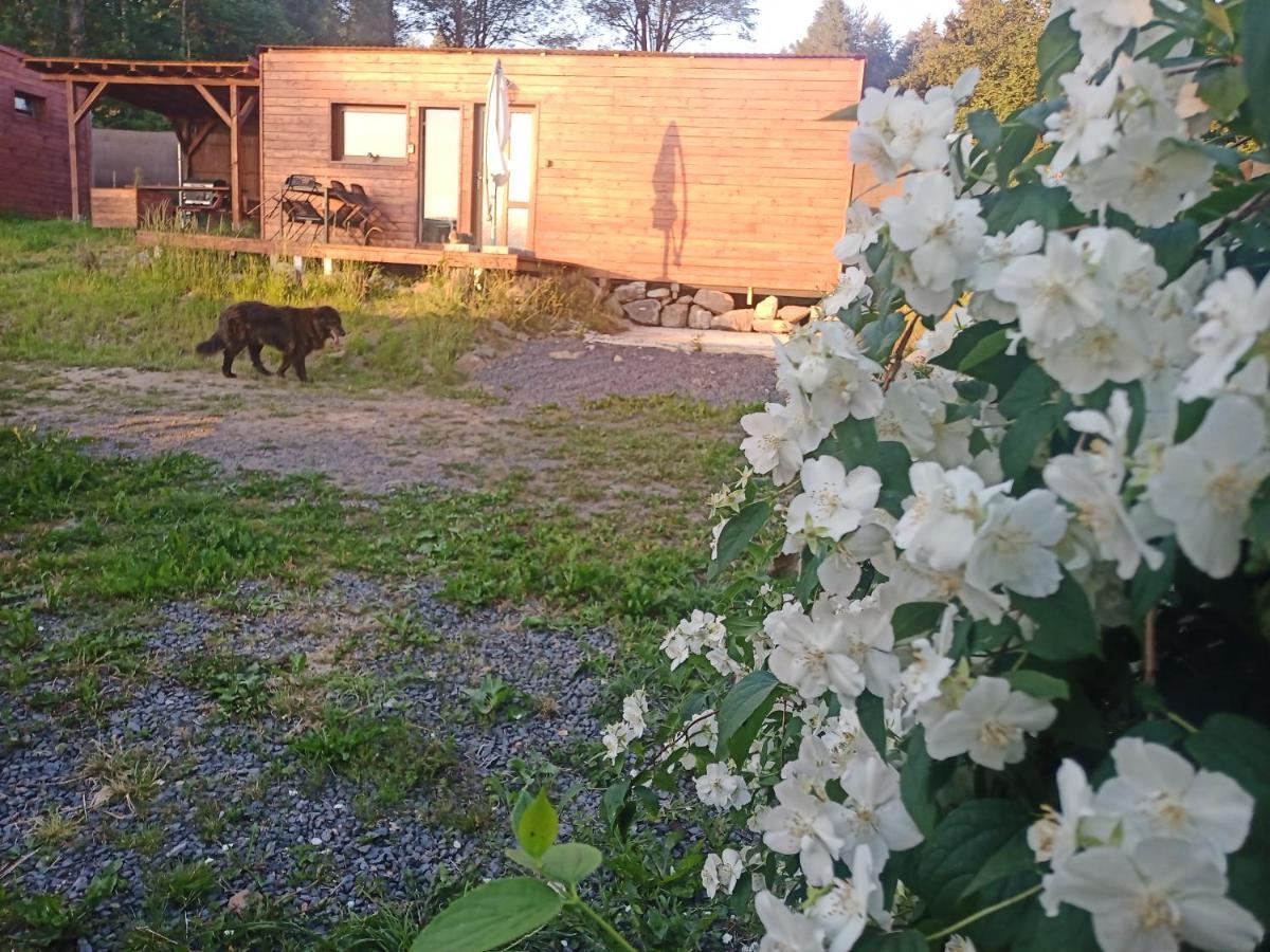 Fox House Tisá / Rájec Hotel Kültér fotó